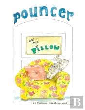 Pouncer And The Pillow