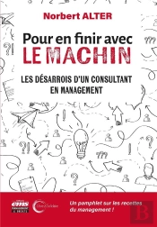 Pour En Finir Avec Le Machin : Les Désarrois D'Un Consultant En Management
