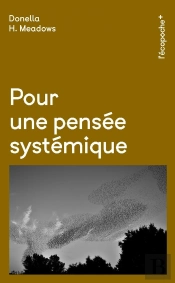 Pour Une Pensée Systémique