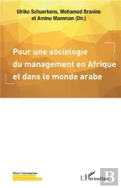 Pour Une Sociologie Du Management En Afrique Et Dans Le Monde Arabe