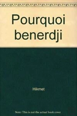 Bertrand.pt - Pourquoi Benerdji