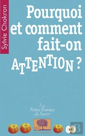 Pourquoi Et Comment Fait-On Attention ?