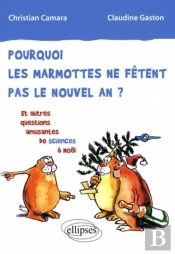 Pourquoi Les Marmottes Ne Fêtent Pas Le Nouvel An ? Et Autres Questions Amusantes De Sciences À Noël