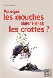 Pourquoi Les Mouches Aiment-Elles Les Crottes ?