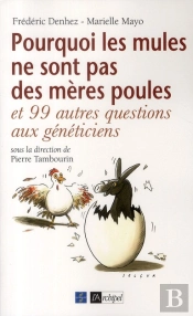 Pourquoi Les Mules Ne Sont Pas Des Mères Poules ?