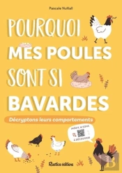 Pourquoi Mes Poules Sont Si Bavardes : Décryptons Leurs Comportements