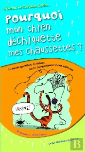 Pourquoi Mon Chien Déchiquette Mes Chaussures