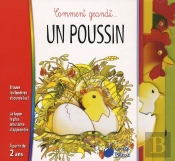 Poussin (Comment Grandit)