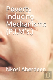 Poverty Inducing Mechanisms  P.I.M'S.