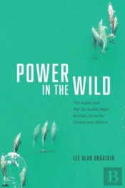 Power In The Wild