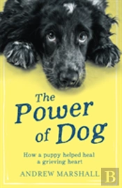 Power Of Dog