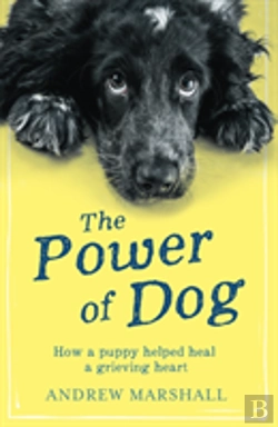 Bertrand.pt - Power Of Dog