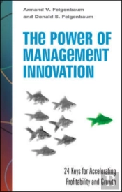 Power Of Management Innovation: 24 Keys For Accelerating Profitability And Growth