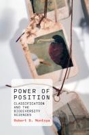 Power Of Position