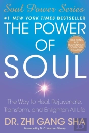Power Of Soul