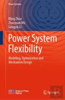 Power System Flexibility