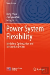 Power System Flexibility