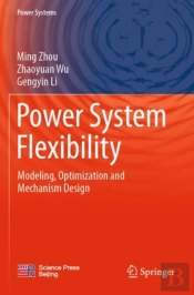 Power System Flexibility