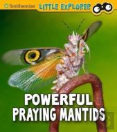 Powerful Praying Mantises