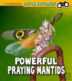 Bertrand.pt - Powerful Praying Mantises