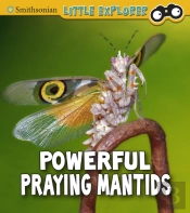 Powerful Praying Mantises