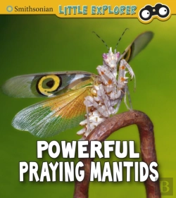 Bertrand.pt - Powerful Praying Mantises