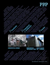 Ppap Ppracticable   Pprofessional  Aarchitecture   Ppractice