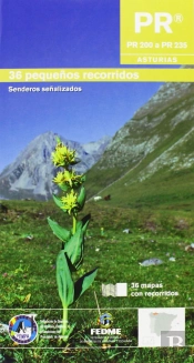 Pr Asturias Iii