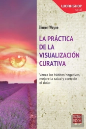 Práctica De La Visualización Curativa, La