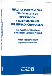 Práctica Procesal Civil De Los Recursos De Casación Y Extraordinario Por Infracción Procesal - (Ley