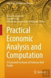 Practical Economic Analysis And Computation