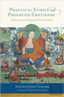 Practical Ethics And Profound Emptiness