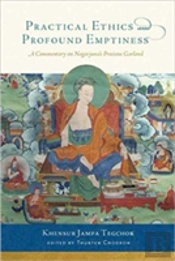 Practical Ethics And Profound Emptiness