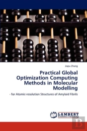 Practical Global Optimization Computing Methods In Molecular Modelling