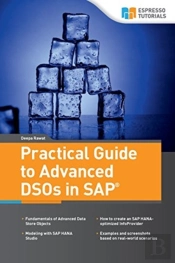 Practical Guide To Advanced Dsos In Sap