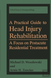 Practical Guide To Head Injury Rehabilitation