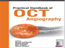 Practical Handbook Of Oct Angiography
