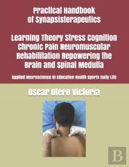 Practical Handbook Of Synapsisterapeutics Learning Theory Stress Cognition Chronic Pain Neuromuscular Rehabilitation Repowering The Brain And Spinal Medulla