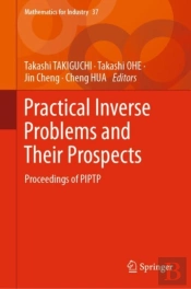 Practical Inverse Problems And Their Prospects
