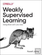 Practical Weak Supervision