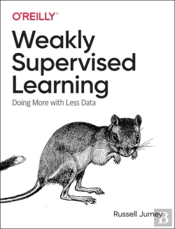 Bertrand.pt - Practical Weak Supervision