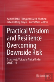 Practical Wisdom And Resilience Overcoming Downside Risk