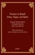 Practices To Benefit Pretas, Nagas And Spirits