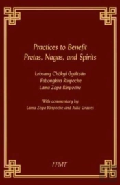 Practices To Benefit Pretas, Nagas And Spirits
