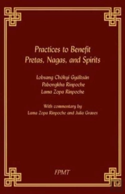 Bertrand.pt - Practices To Benefit Pretas, Nagas And Spirits