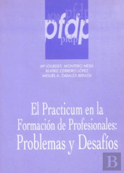 Practicum En La Formacion De Profesionales, El