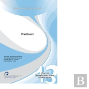 Practicum I
