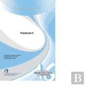 Practicum Ii