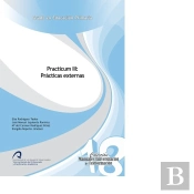 Practicum Iii: Prácticas Externas