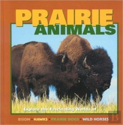 Bertrand.pt - Prairie Animals